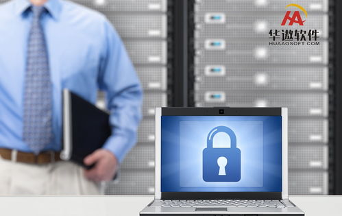 从软件到资源协调 ERP实施成败中的互联网数据服务影响分析